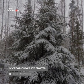 ������ ����, ���������!. ������� ��������� ������������ � ������� ����, ���� �������� �����