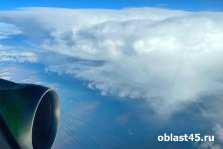 ��������� ����� � �������: ��������� ������� ��������� �� ����������� �������� ������ �����