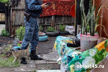 � ����, � ������ �� ������: ��� ��������� ������� ���������� ��������� ���������� �� ���������