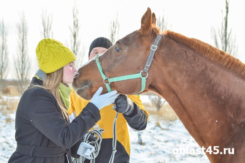 � ������� ��������� ������ ������ � ���� ������������ ������