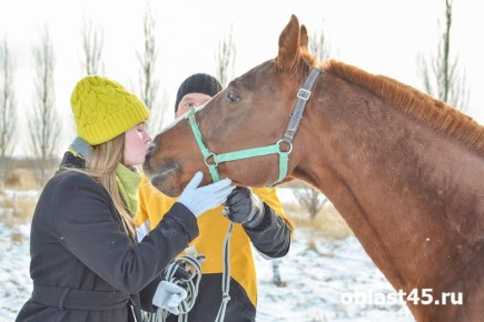 � ������� ��������� ������ ������ � ���� ������������ ������