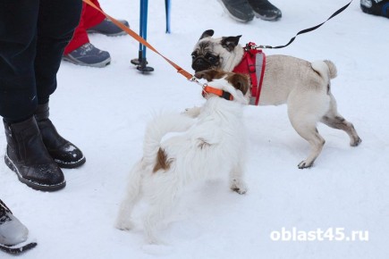 � ��������� ������������� �������� �� ��������� ����� � ��������