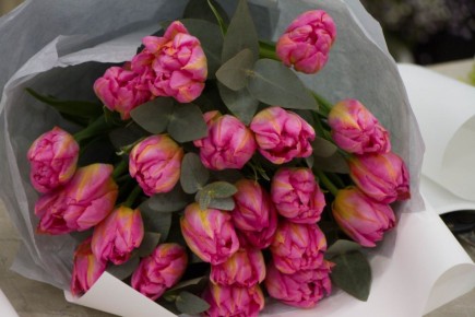 ����� ���� ���� �������� �������� ��������, ����� � ������� � 8 �����