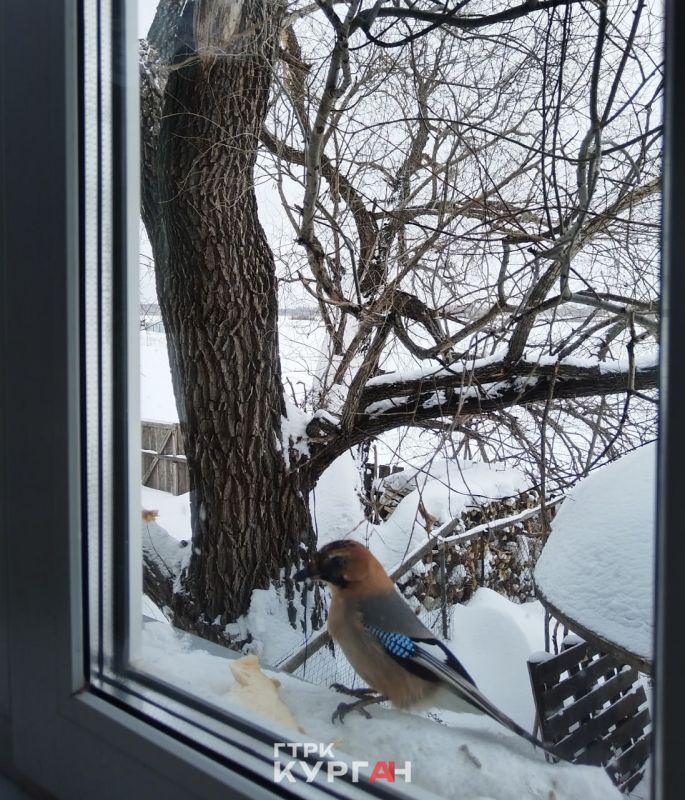 ��������� ������ ��������� � ����� ���������� �� ������������� ������