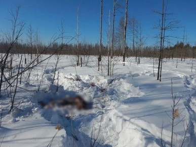 ������������ ������� ��������� ���� ������, ������������� � ���������� ����� �� ���������� ���������� �������������� ������