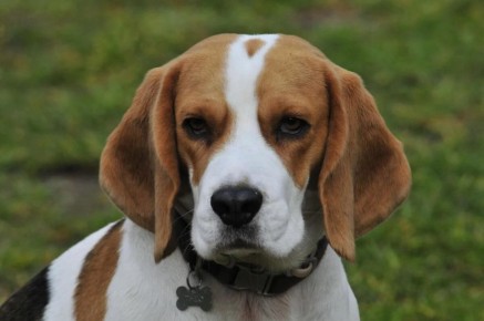 ������� �����: ����� ������ ����� �� �������� � ���������� ��������