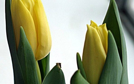 � ���������� ������� ������� ������ ��������� ��������� ��� ����� ���