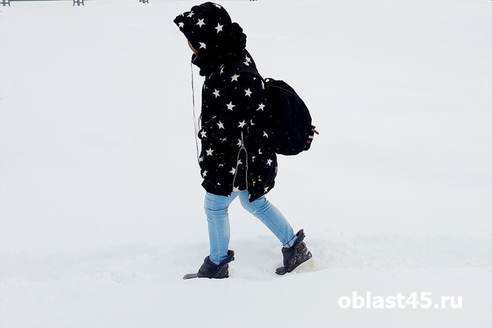 Полезная невоспитанность: как научить детей в Кургане не уходить с незнакомцами