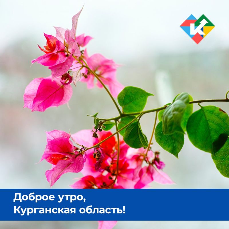 Доброе утро, Курганская область!