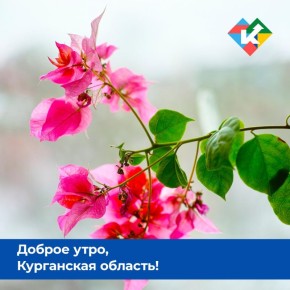 ������ ����, ���������� �������!