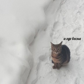 ���� ������������ � ������ � ��������