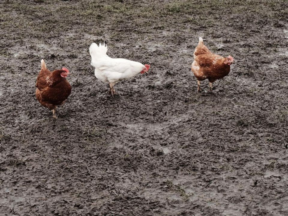 ���������� ���: ��� ����� ����� �������� ��� ��������� ������