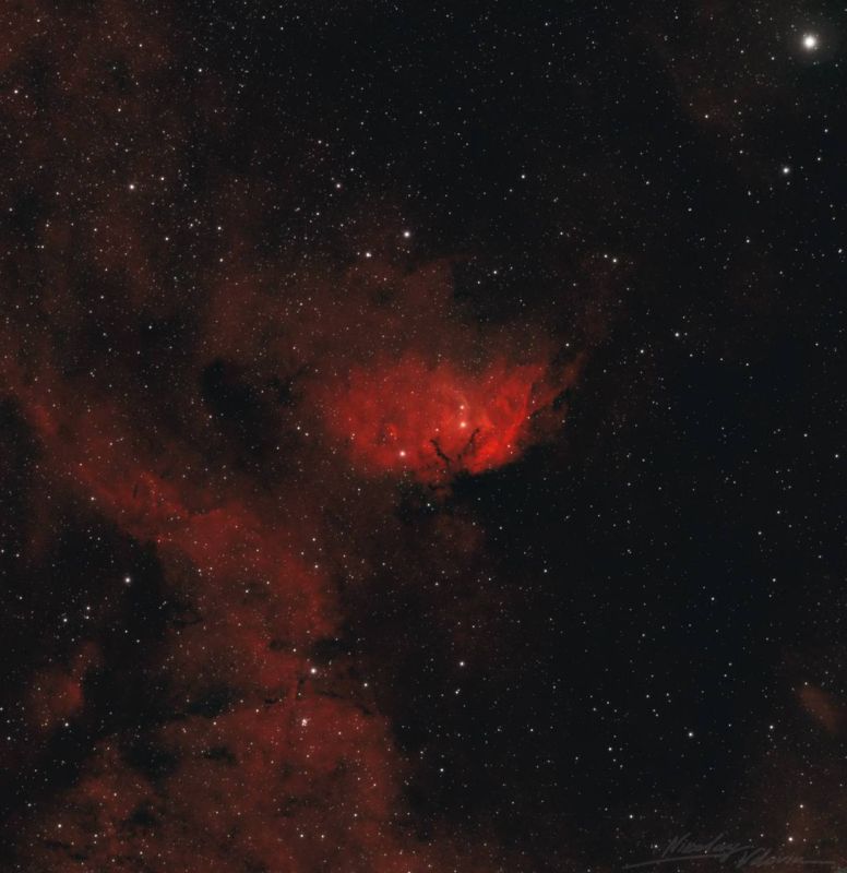 Роскосмос опубликовал космический букет к 8 Марта