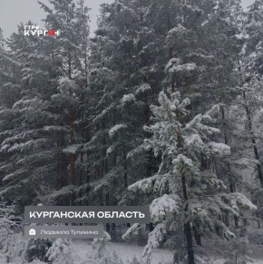 ������ ����, ���������! � ������� ����� ������!