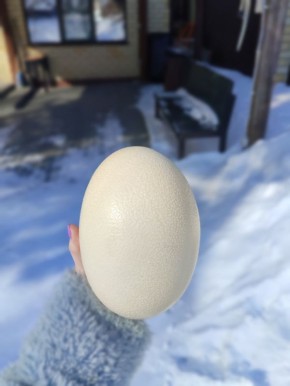 �� ���������� ����� ��������� ������ � ���� ���� ���������� ����