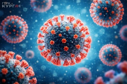 �������������� ���� � ���������� ������� ���������� ���������