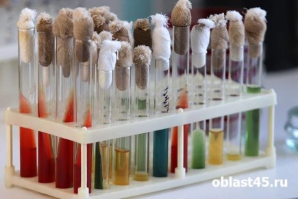 ���������� ���� ����������: ����, ���� � ���������� �������� ���������� �������� ��������