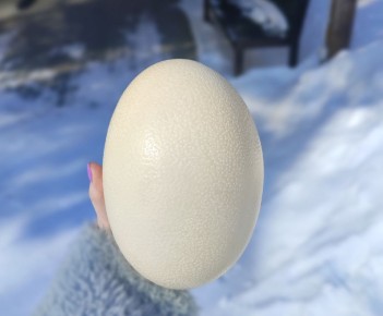 �������� ���������� ���������� �������� �� ������������� ����