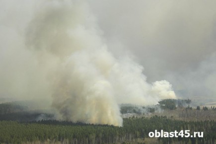 �� ������� ������ ������� � ���������� ������� �������� ����� 200 ��� ������