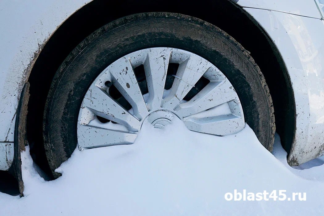 Путь свободен: в Курганской области сняли все ограничения на дорогах