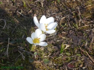 Апрель в народных приметах: какие сюрпризы принесёт весна