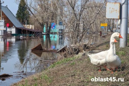 ������ �� 200 000 ������: � �������� ������� ������ �� ������ ����������