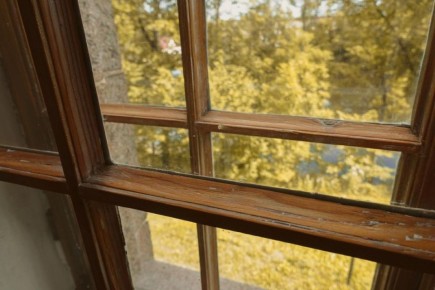 ����������� ������ �� ����� ����: ������� ��� ��������