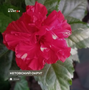 Доброе утро, зауральцы!. День обещают ясный и тёплый