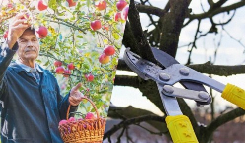 ��� ��������� �������� ������� �����: ������ �������� ��������