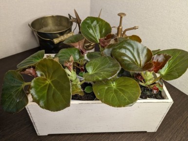 ��� �������� ������� �� ���������� �����: ������ ��� �������� ����� ��������