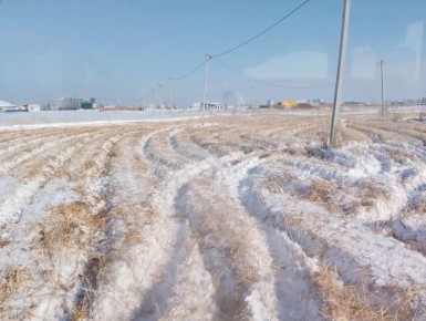 На территории города ведётся окос камыша в рамках противопожарных мероприятий