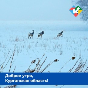 Доброе утро, Курганская область!
