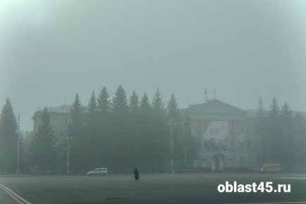 Курганских водителей предупредили об опасности на дорогах из-за тумана