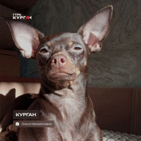 ������ ����, ���������!. ���� � ������� ������� ���������� �� +7 ��������