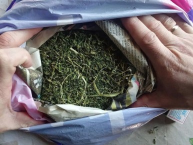 В Шумихинском округе оперативники изъяли у местного жителя более семидесяти граммов растительного наркотика
