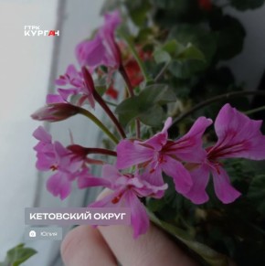 Доброе утро, зауральцы!. Сегодня в Кургане будет пасмурно, осадков не обещают