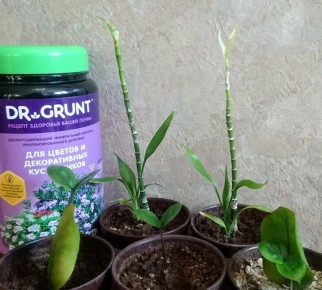 ��� ����� ��������������� ������� ���� ������� ������