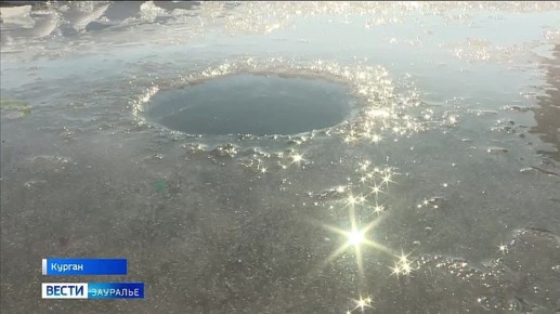 ��������� ������ �� ������� ���� ���� �����