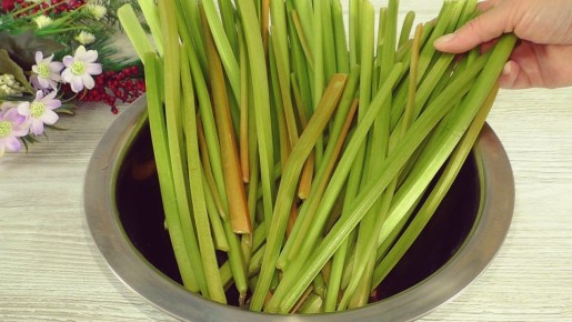 ��� ����������� ���������� ������ �� ������ � �������� �����