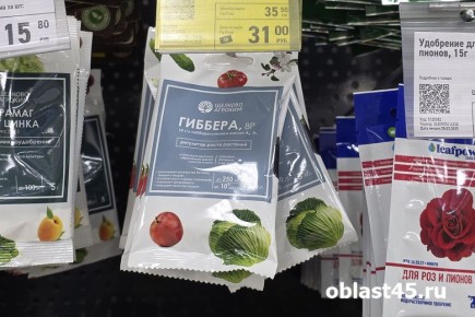 Сезон рассады: когда и что сеять в Кургане