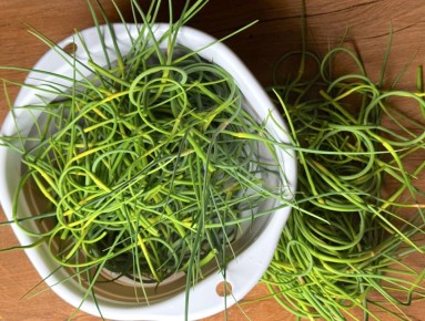 Как использовать чесночные стрелки: идеи для зимних заготовок