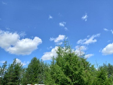 ��� ����� ���������� �� ����: �����, ������ � ������� ������������ ����