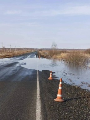 � ����� � �������� ������� ����� �� 19-� ��������� ������ "�����" - ������ - �������� � ������ ������� �������� ������������ ������ ���������������� ����������� � �������� ��������������� ���������� ����������� ��������