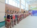 Сегодня в Кургане проходит Кубок города Кургана по художественной гимнастике «Зауральские грации»