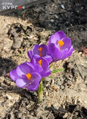 � ������� ������� �������. ������� � ������ ����������� ����� ���� � � ����� ����������� ��� ��������� ������ �����