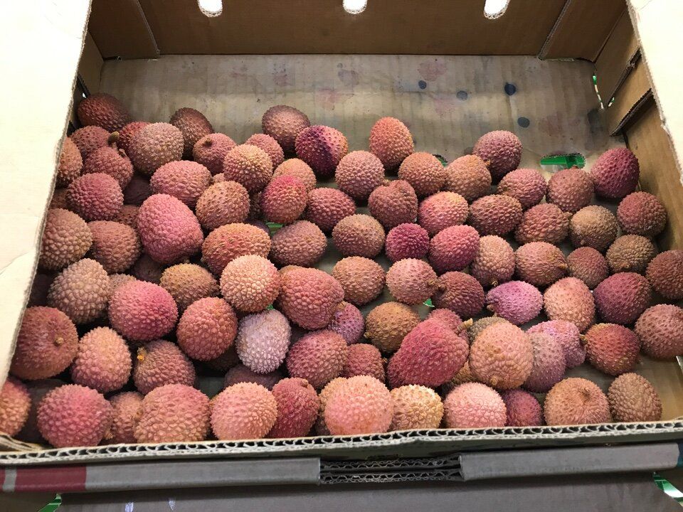 ����: ����������� � ������������ ������� � ��� �������������