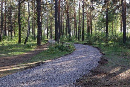 В Курганской области с 10 апреля вводится пожароопасный сезон