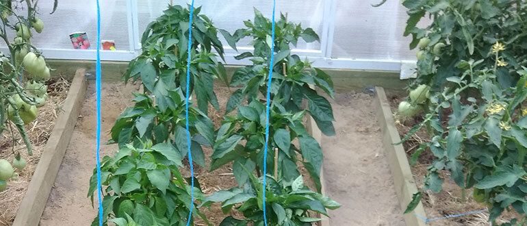 �������� ������ ��� ����������� �����: ��� �������� ������