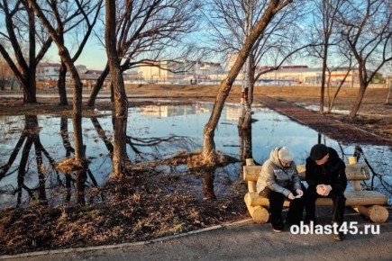 ���������-2026 � ���������� �������: ����� ���� ������� �������� ����� �� �������