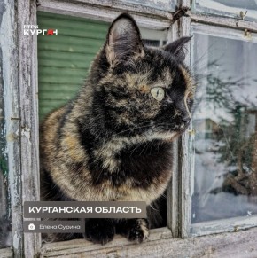 Доброе утро, зауральцы! С началом нового месяца!